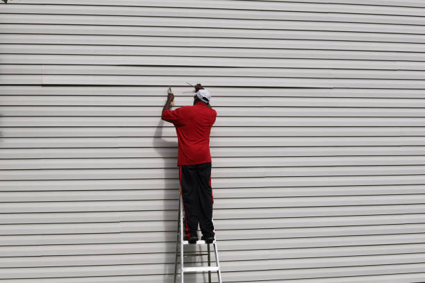 Best Fascia and Soffit Installation  in Sacaton, AZ