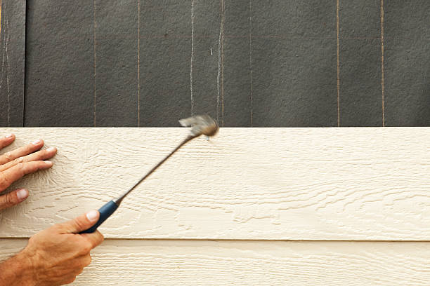 Best Brick Veneer Siding  in Sacaton, AZ